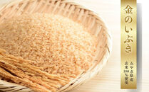 【ふるさと納税】お手軽ハンドごはん&nbsp;北海ホタテ&nbsp;120g×5本&nbsp;セット&nbsp;レトルト&nbsp;パウチ&nbsp;非常食&nbsp;防災&nbsp;アウトドア&nbsp;ゴロっと北海ホタテの焦がし醤油&nbsp;ほたて&nbsp;帆立&nbsp;澤田食品