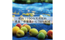 訳あり&nbsp;無添加&nbsp;梅干し&nbsp;紀州梅香の減塩3%つぶれ梅&nbsp;約1kg(500g&nbsp;x&nbsp;2)&nbsp;中~大粒&nbsp;はねだし梅&nbsp;紀州南高梅&nbsp;産直)&nbsp;3-G［KU3］