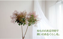 674.【月1回・12ヶ月定期便】旬をかざる枝もの定期便（年12回）＋初回ガラスベース付き