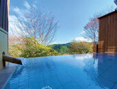 【吉野荘　湯川屋】ペアランチ食事券