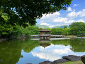 【四季亭】ペアランチまたはディナー食事券