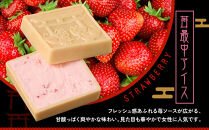 【御稲荷最中アイス】京の縁起物セット｜京都 伏見稲荷 最中アイス 人気セット［ 京都 もなか 最中 8個セット アイス スイーツ 人気 おすすめ ギフト プレゼント お菓子 通販 お取り寄せ 送料無料 ふるさと納税 ］