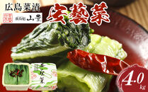 ＼年内発送／広島菜漬「安藝菜」 4.0kg
