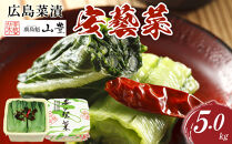 ＼年内発送／広島菜漬「安藝菜」 5.0kg