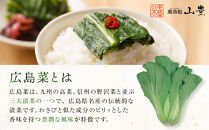 【先行予約】広島菜漬「安藝菜」&nbsp;5.0kg（2026年度11月以降順次配送）&nbsp;|&nbsp;漬物&nbsp;広島菜漬&nbsp;広島菜&nbsp;安藝菜&nbsp;国産漬物&nbsp;漬け物&nbsp;ご飯のお供&nbsp;発酵食品&nbsp;和惣菜&nbsp;おかず&nbsp;常備菜&nbsp;家庭用&nbsp;お取り寄せ&nbsp;人気&nbsp;おすすめ&nbsp;広島県&nbsp;広島市