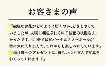 【月2回・12ヶ月定期便】旬とくらすお花の定期便&nbsp;（毎月届く季節のブーケ&nbsp;旬を飾るゆたかな暮らし１年分をお届けします）【お花&nbsp;花&nbsp;ブーケ&nbsp;季節の花&nbsp;定期便&nbsp;フラワー&nbsp;母の日&nbsp;敬老の日&nbsp;父の日&nbsp;鳥取県&nbsp;北栄町&nbsp;おすすめ&nbsp;人気】