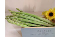 アスパラガス さぬきのめざめ 春芽 約1kg