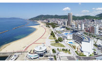 神戸須磨シーワールド入場券　2枚セット（有効期限：～2026年3月31日）