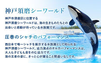 神戸須磨シーワールド入場券　2枚セット（有効期限：～2026年3月31日）