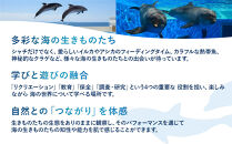 神戸須磨シーワールド入場券　2枚セット（有効期限：～2026年3月31日）