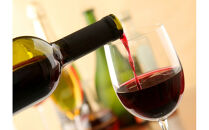 信州みやだワイン　紫輝2024　720ml×1本 （長野県 宮田村 国産 本坊酒造 ワイン わいん お酒 アルコール 家飲み ギフト プレゼント バースデー お祝い）