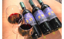 信州みやだワイン　紫輝2024　720ml×1本 （長野県 宮田村 国産 本坊酒造 ワイン わいん お酒 アルコール 家飲み ギフト プレゼント バースデー お祝い）