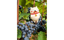 信州みやだワイン　紫輝2024　720ml×1本 （長野県 宮田村 国産 本坊酒造 ワイン わいん お酒 アルコール 家飲み ギフト プレゼント バースデー お祝い）