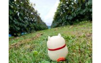 信州みやだワイン　紫輝2024　720ml×1本 （長野県 宮田村 国産 本坊酒造 ワイン わいん お酒 アルコール 家飲み ギフト プレゼント バースデー お祝い）