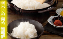 【令和7年産】定期便★10kg×3ヶ月&nbsp;生産者限定&nbsp;南魚沼しおざわ産コシヒカリ