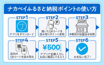 ナカペイふるさと納税ポイント 15,000円分