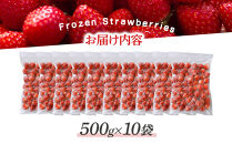 冷凍いちご(さぬきひめ)500g×10袋【&nbsp;冷凍いちご&nbsp;冷凍&nbsp;カット&nbsp;フルーツ&nbsp;フローズンストロベリー&nbsp;フローズン&nbsp;ストロベリー&nbsp;小分け&nbsp;便利&nbsp;国産&nbsp;香川県&nbsp;高松市&nbsp;】