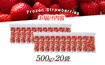 冷凍いちご(さぬきひめ)500g×20袋【&nbsp;冷凍いちご&nbsp;冷凍&nbsp;カット&nbsp;フルーツ&nbsp;フローズンストロベリー&nbsp;フローズン&nbsp;ストロベリー&nbsp;小分け&nbsp;便利&nbsp;国産&nbsp;香川県&nbsp;高松市&nbsp;】