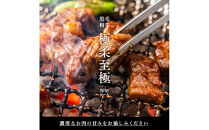 黒毛和牛タレ漬けロースひとくちステーキ2kg（400g×5パック）【配送不可：離島】