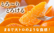 ［先行予約］厳選&nbsp;せとか7.5kg+250g（傷み補償分［柑橘・春みかんの王様］［光センサー選果・食べ頃出荷］