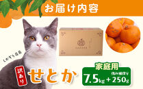 ［先行予約］家庭用&nbsp;せとか7.5kg+250g（傷み補償分）［柑橘・春みかんの王様］［わけあり・訳あり］［光センサー選果・食べ頃出荷］