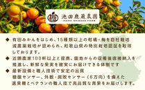 ［先行予約］家庭用&nbsp;せとか7.5kg+250g（傷み補償分）［柑橘・春みかんの王様］［わけあり・訳あり］［光センサー選果・食べ頃出荷］