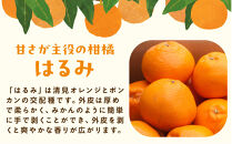 ［先行予約］厳選&nbsp;はるみ10kg+250g（傷み補償分）［デコポンの姉妹品種・新食感春みかん］