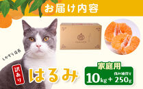 ［先行予約］家庭用&nbsp;はるみ10kg+250g（傷み補償分）［デコポンの姉妹品種・新食感春みかん］［わけあり・訳あり］