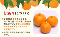 ［先行予約］家庭用&nbsp;はるみ10kg+250g（傷み補償分）［デコポンの姉妹品種・新食感春みかん］［わけあり・訳あり］