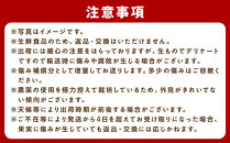 ［先行予約］家庭用&nbsp;はるみ10kg+250g（傷み補償分）［デコポンの姉妹品種・新食感春みかん］［わけあり・訳あり］