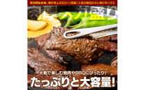 秘伝のタレ漬け牛ハラミ 2kg（500g×4パック）【配送不可：離島】