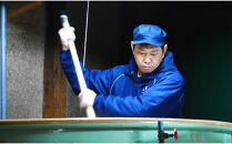 【高島屋選定品】聚楽第&nbsp;純米大吟醸（720ml）|京都&nbsp;老舗&nbsp;お酒&nbsp;日本酒［&nbsp;酒蔵&nbsp;日本酒&nbsp;お酒&nbsp;純米大吟醸酒&nbsp;山田錦&nbsp;人気&nbsp;おすすめ&nbsp;お取り寄せ&nbsp;通販&nbsp;送料無料&nbsp;ふるさと納税&nbsp;］