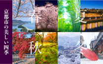 【高島屋選定品】聚楽第&nbsp;純米大吟醸（720ml×2本）|京都&nbsp;老舗&nbsp;お酒&nbsp;日本酒［&nbsp;酒蔵&nbsp;日本酒&nbsp;お酒&nbsp;純米大吟醸&nbsp;山田錦&nbsp;2本&nbsp;人気&nbsp;おすすめ&nbsp;お取り寄せ&nbsp;通販&nbsp;送料無料&nbsp;ふるさと納税&nbsp;］