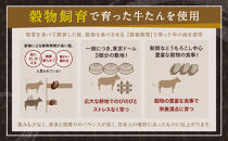 仙台発祥 牛たん 塩味 300g×2 【牛タン・仙台・セット・熟成】