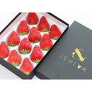 4％の奇跡！【贈答用】静岡県産いちご&nbsp;紅ほっぺ&nbsp;500g×1パック（9～15粒）&nbsp;冷蔵配送【北海道・沖縄・離島&nbsp;配送不可】　苺&nbsp;フルーツ◇