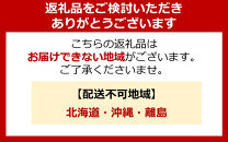 4％の奇跡！【贈答用】静岡県産いちご&nbsp;紅ほっぺ&nbsp;500g×1パック（9～15粒）&nbsp;冷蔵配送【北海道・沖縄・離島&nbsp;配送不可】　苺&nbsp;フルーツ◇
