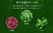 KOBE&nbsp;HERBAL&nbsp;GIN&nbsp;白風&nbsp;（しらかぜ）&nbsp;#02【化粧箱入】