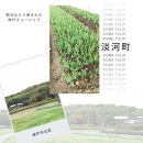 神戸チューリップの花束