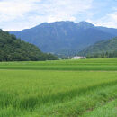 ドジャース公式日本酒 特別本醸造 八海山 ブルーボトル 720ml×6本