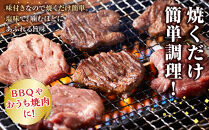 やわらか 厚切り 牛タン 750g 塩味 【肉 牛肉 タン 仙台 名物 グルメ 厚切り 焼肉 小分け 個包装 味付け 味付き 柔らか 厚切 食品 人気 冷凍 焼くだけ 簡単調理 牛タン にく お肉 バーベキュー BBQ キャンプ アウトドア 仙台牛たん あつぎり おすすめ 宮城 冷凍牛タン 使いやすい ぎゅうたん お取り寄せ グルメ 宮城県 牛たん ギフト 贈答 プレゼント 仙台市】