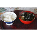 子どもにも大人気！炙って食べる香ばしい海苔「やだのり」100枚入り♪