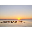 子どもにも大人気！炙って食べる香ばしい海苔「やだのり」100枚入り♪