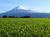 【たっぷり80個入り】静岡県産&nbsp;深蒸し茶ティーバッグセット&nbsp;毎日の緑茶習慣に。マグカップでも手軽に楽しめる高品質ティーバッグ
