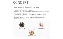 MAKANAI&nbsp;絶妙レシピのハンドクリーム　40g（やわらかな乳香の香り）3個セット