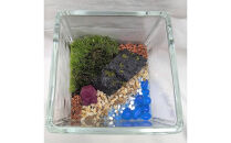 ポートの記憶、テラリウムに