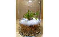 KOBE　COLORS　～STONE&nbsp;&&nbsp;MOSS～