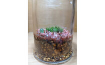 KOBE　COLORS　～STONE&nbsp;&&nbsp;MOSS～