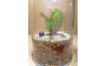 KOBE　COLORS　～STONE&nbsp;&&nbsp;MOSS～