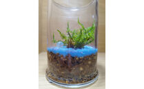 KOBE　COLORS　～STONE&nbsp;&&nbsp;MOSS～