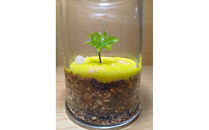 KOBE　COLORS　～STONE&nbsp;&&nbsp;MOSS～